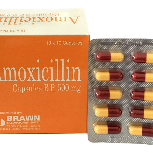 Amoxicillin 500 Brawn (H/100v)
