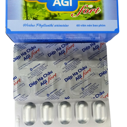 Diệp Hạ Châu Agimexpharm (H/60v)